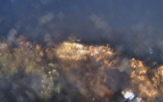 Sopot bosmanat molo #2 - 14-01-2026 15:30