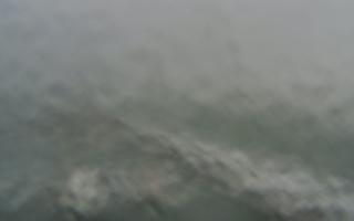 Sopot bosmanat molo #2 - 16-01-2026 07:51