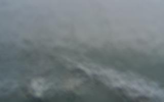 Sopot bosmanat molo #2 - 16-01-2026 08:45