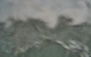 Sopot bosmanat molo #2 - 26-01-2026 10:56