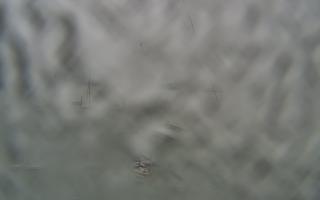 Sopot bosmanat molo #2 - 05-02-2026 12:03