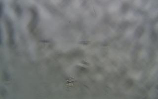 Sopot bosmanat molo #2 - 05-02-2026 12:26