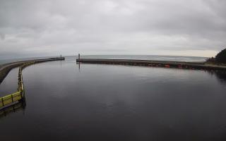 Mrzeżyno wejście do portu - 02-11-2025 07:03