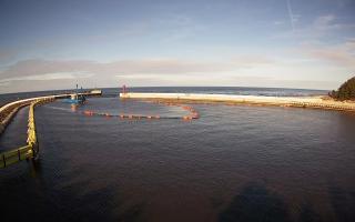 Mrzeżyno wejście do portu - 25-02-2026 13:23