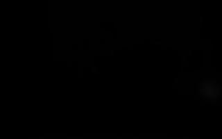 Sromowce Niżne Trzy Korony - 19-12-2025 02:32