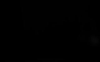 Sromowce Niżne Trzy Korony - 19-12-2025 03:11