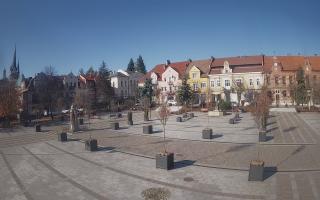 Myślenice - 01-11-2025 10:37