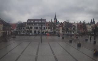 Myślenice - 16-03-2026 15:42