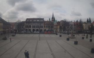 Myślenice - 17-03-2026 09:38