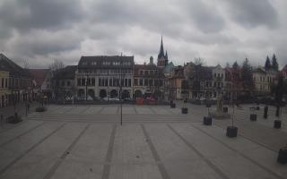 Myślenice - 17-03-2026 09:53