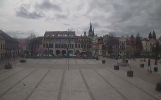 Myślenice - 14-04-2026 11:26