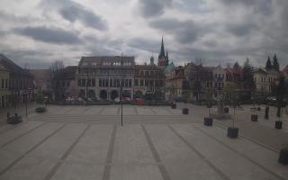 Myślenice - 14-04-2026 11:56