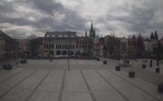 Myślenice - 14-04-2026 12:12