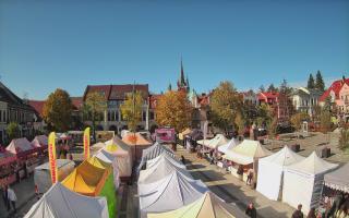 Myślenice - 17-10-2026 08:30
