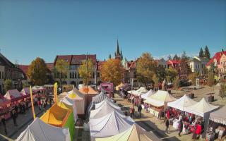 Myślenice - 17-10-2026 08:58