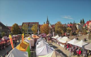 Myślenice - 17-10-2026 09:33