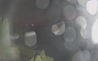 Niedzica - widok na zamek w Czor - 03-11-2025 16:32