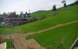 Zieleniec PTZ #1 - 03-05-2025 08:04