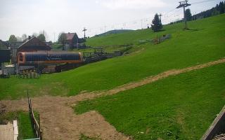 Zieleniec PTZ #1 - 03-05-2025 08:58