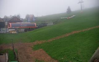 Zieleniec PTZ #1 - 04-05-2025 03:21