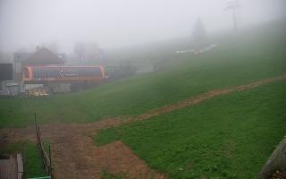 Zieleniec PTZ #1 - 04-05-2025 03:36