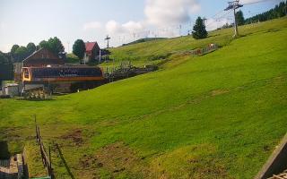 Zieleniec PTZ #1 - 17-06-2025 06:04
