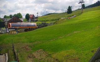 Zieleniec PTZ #1 - 17-06-2025 11:27