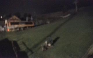 Zieleniec PTZ #1 - 01-08-2025 23:59