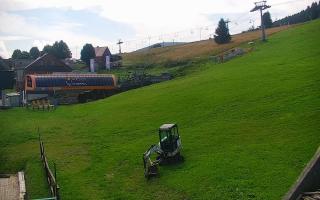 Zieleniec PTZ #1 - 02-08-2025 09:14