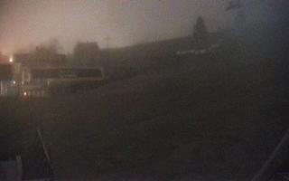 Zieleniec PTZ #1 - 02-11-2025 20:47