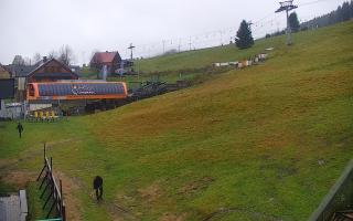 Zieleniec PTZ #1 - 03-11-2025 07:03