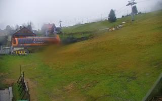 Zieleniec PTZ #1 - 03-11-2025 11:56