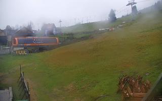 Zieleniec PTZ #1 - 03-11-2025 12:50