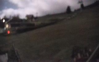 Zieleniec PTZ #1 - 03-11-2025 17:20