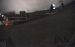 Zieleniec PTZ #1 - 03-11-2025 18:29