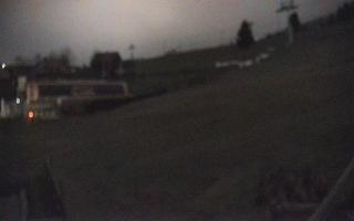 Zieleniec PTZ #1 - 03-11-2025 22:59