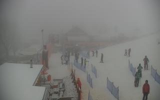 Zieleniec PTZ #1 Winterpol - 29-01-2026 11:05