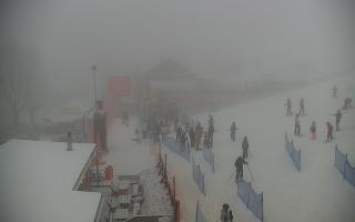 Zieleniec PTZ #1 Winterpol - 29-01-2026 11:13