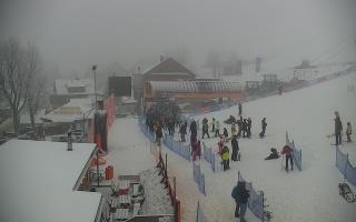 Zieleniec PTZ #1 Winterpol - 29-01-2026 11:43