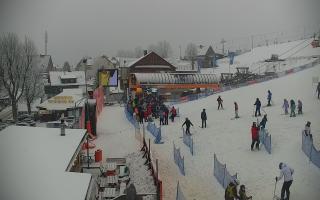 Zieleniec PTZ #1 Winterpol - 29-01-2026 13:08