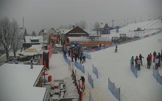 Zieleniec PTZ #1 Winterpol - 29-01-2026 13:31