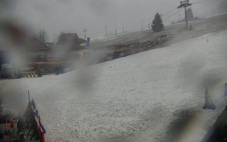 Zieleniec PTZ #1 Winterpol - 16-03-2026 07:42