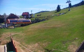 Zieleniec PTZ #1 Winterpol - 03-05-2026 11:52