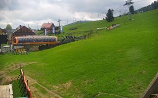 Zieleniec PTZ #1 Winterpol - 13-05-2026 09:11