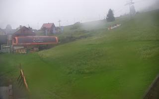 Zieleniec PTZ #1 Winterpol - 12-06-2026 19:03