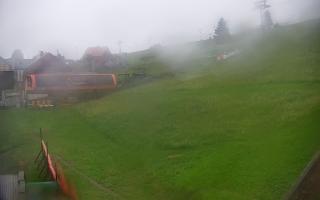 Zieleniec PTZ #1 Winterpol - 12-06-2026 19:10