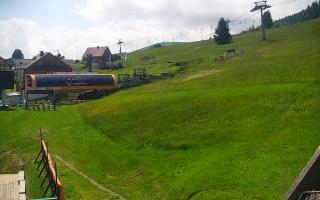 Zieleniec PTZ #1 Winterpol - 17-06-2026 09:02