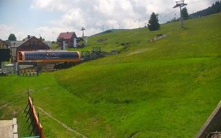 Zieleniec PTZ #1 Winterpol - 17-06-2026 09:33