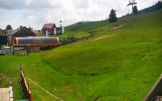 Zieleniec PTZ #1 Winterpol - 17-06-2026 09:48