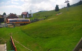 Zieleniec PTZ #1 Winterpol - 17-06-2026 09:56
